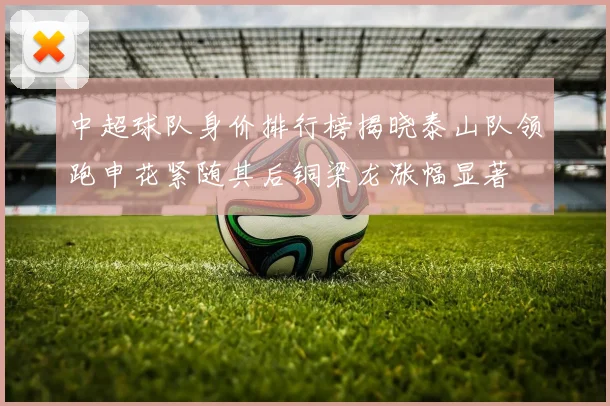 中超球队身价排行榜揭晓泰山队领跑申花紧随其后铜梁龙涨幅显著